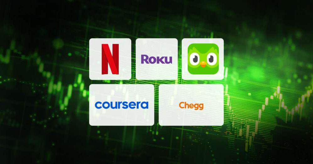 Q1 2024 Consumer Subscription Stocks in Retrospect: Netflix’s Triumph and Sector Challenges
